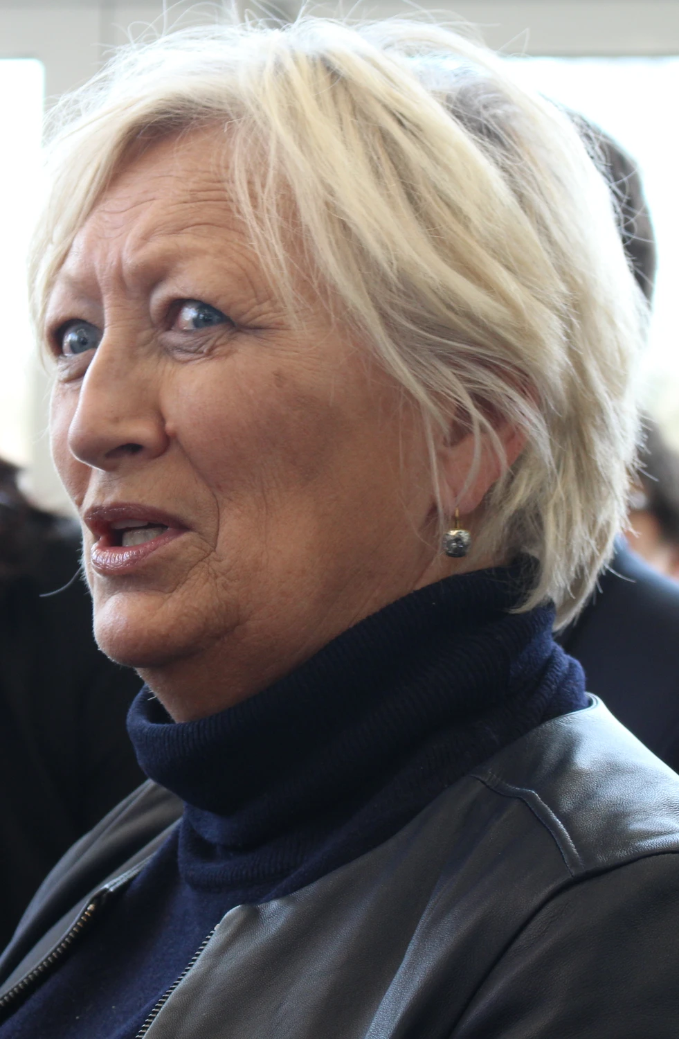 Catherine Morin-Desailly