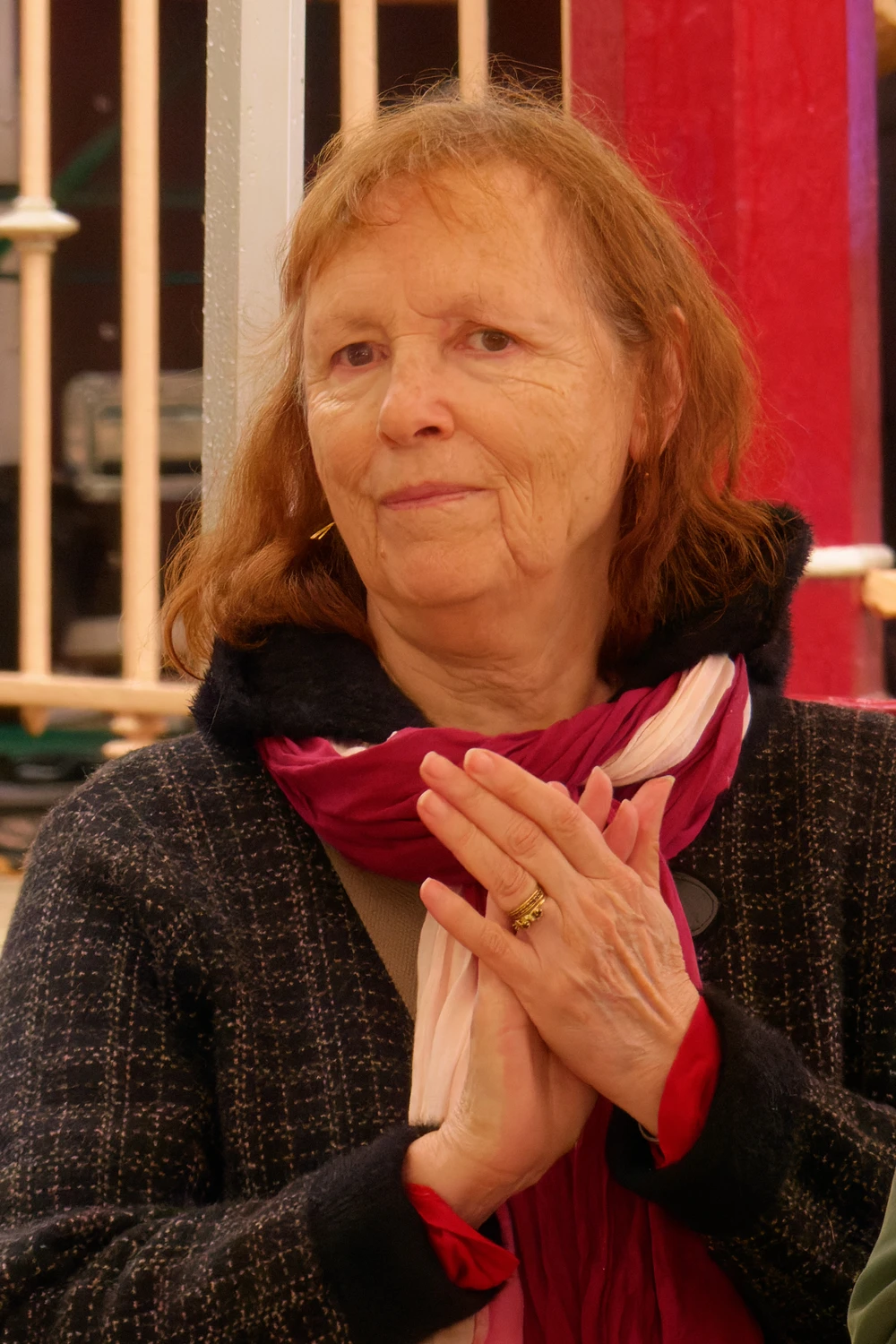 Dominique Chipeaux