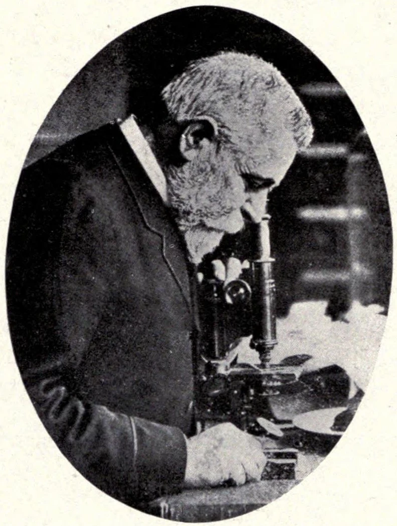 Édouard Ernest Prillieux