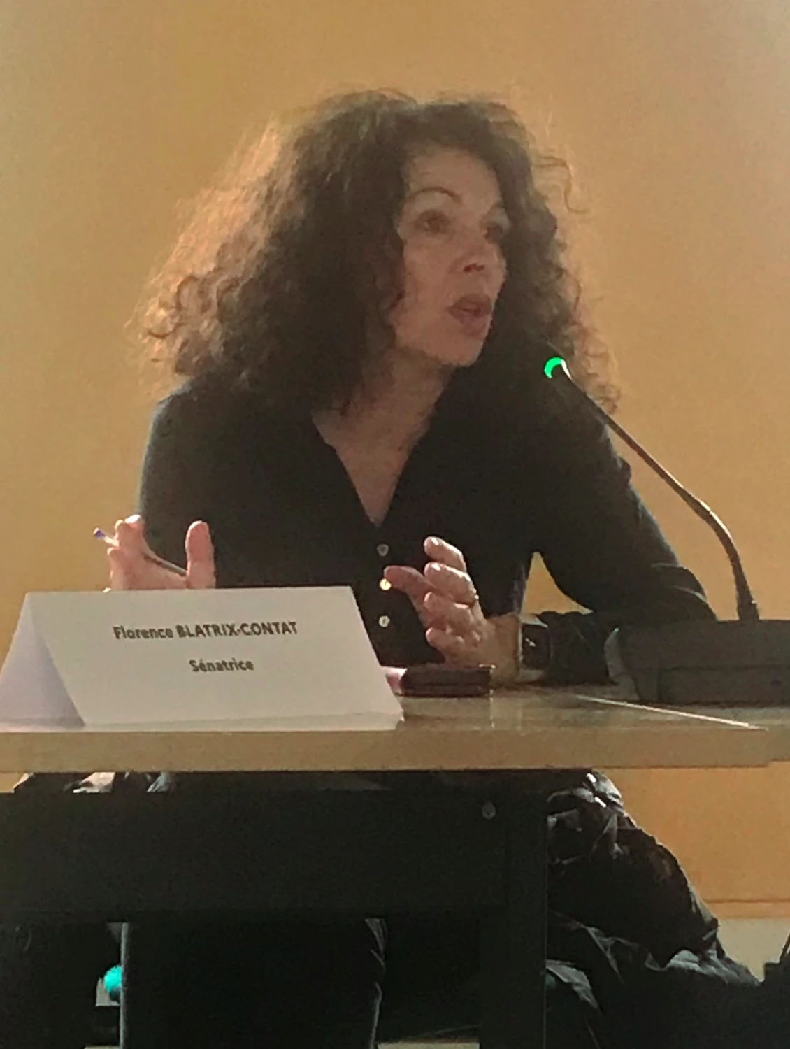 Florence Blatrix-Contat