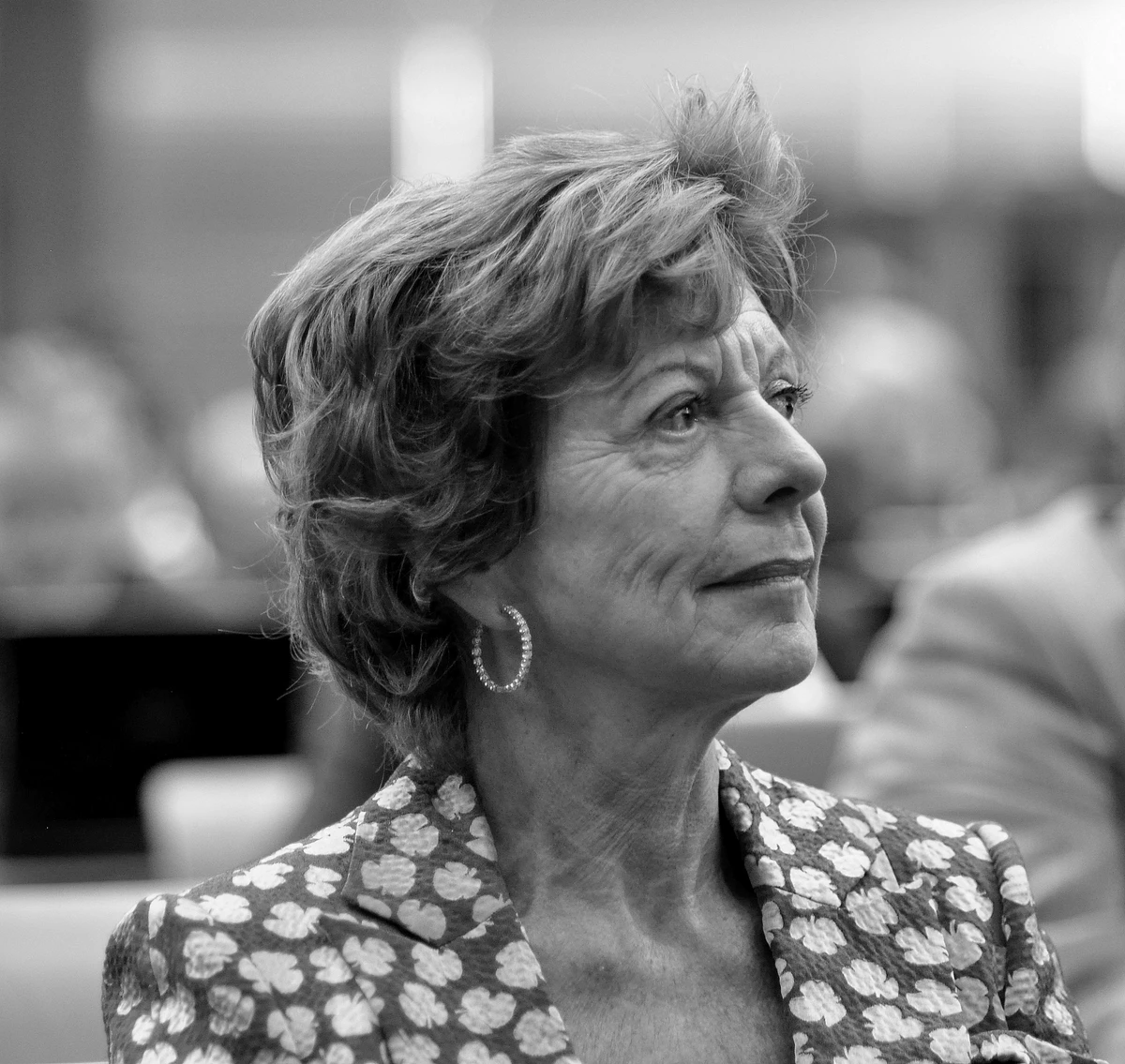 Neelie Kroes